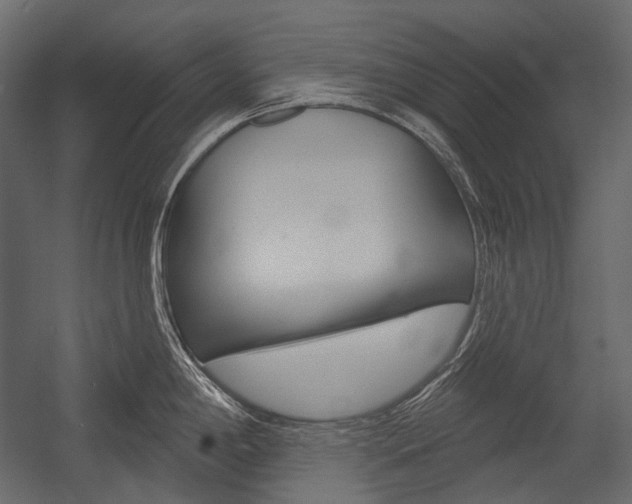X0000054421198200507290918