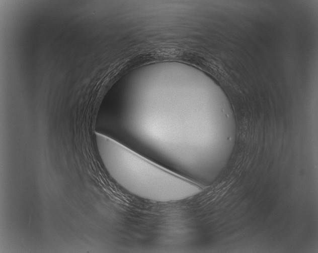 X0000054421201200507290917