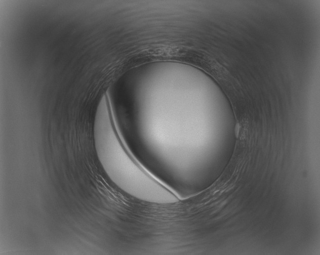 X0000054421202200507290917