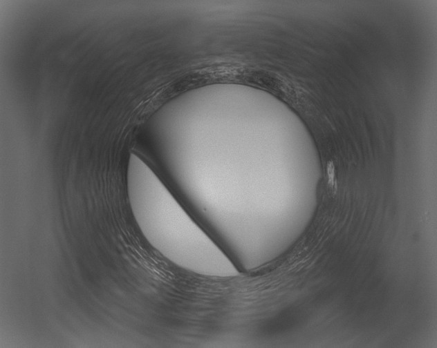 X0000054421203200507290917