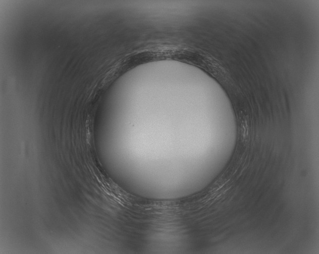 X0000054421204200507290917
