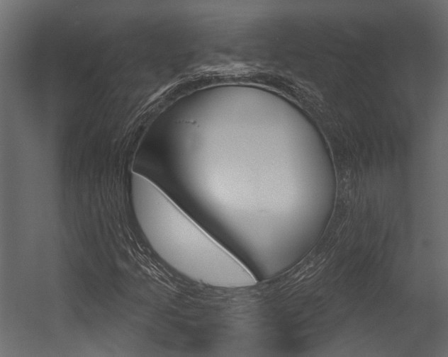 X0000054421205200507290917