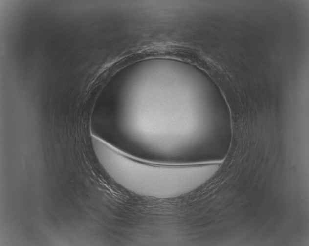 X0000054421206200507290917