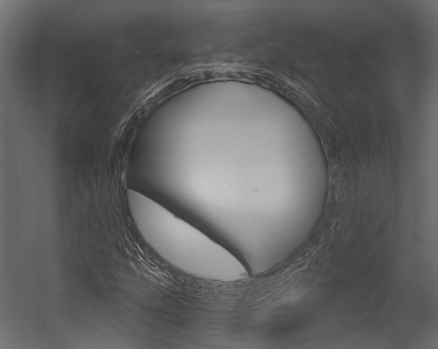 X0000054421207200507290917