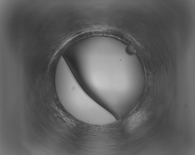 X0000054421208200507290917