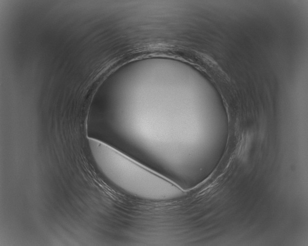 X0000054421209200507290917