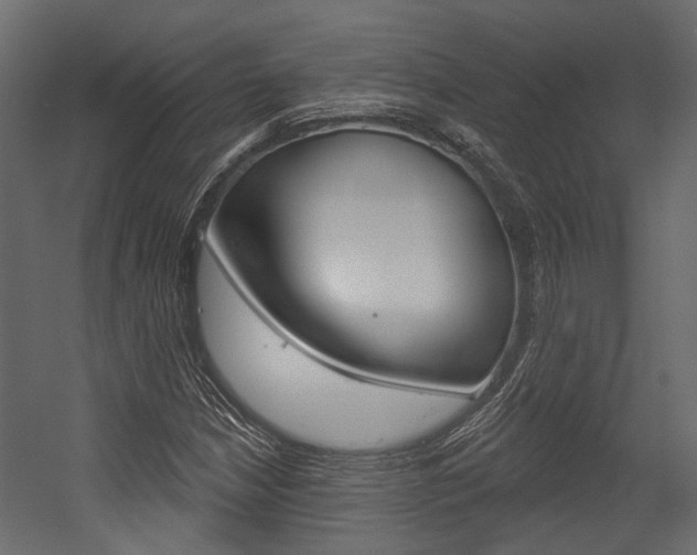 X0000054421210200507290917