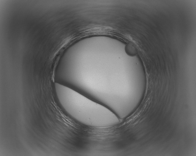 X0000054421211200507290917