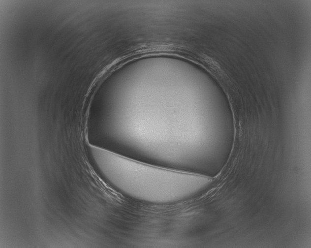 X0000054421212200507290917