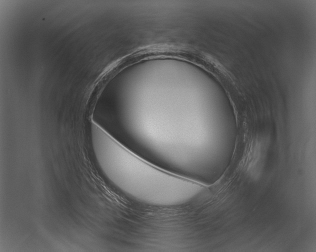 X0000054421213200507290917