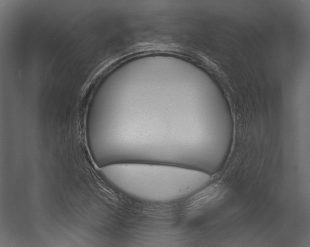X0000054421215200507290917