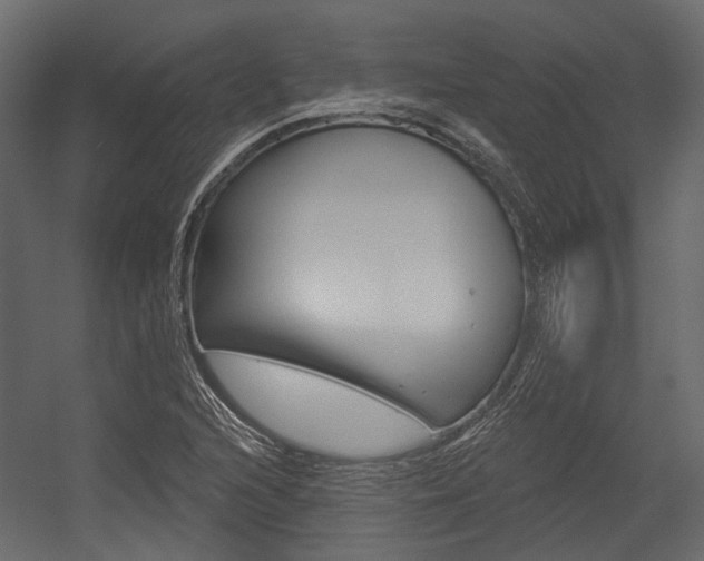 X0000054421216200507290917