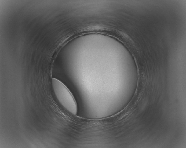 X0000054421217200507290917