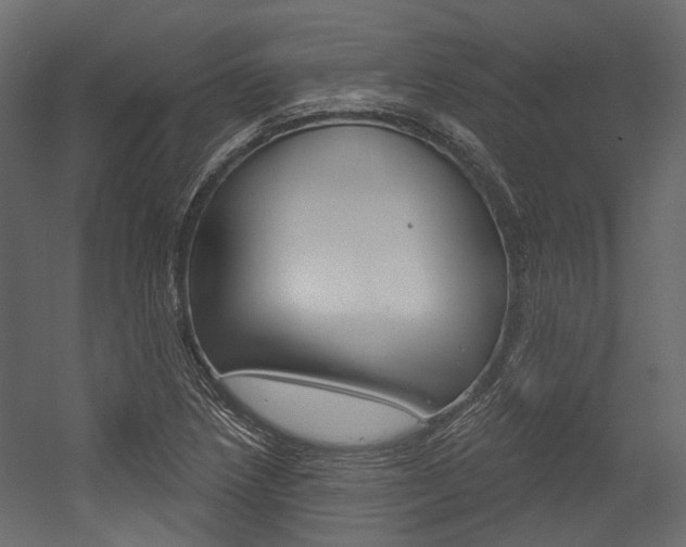 X0000054421218200507290917