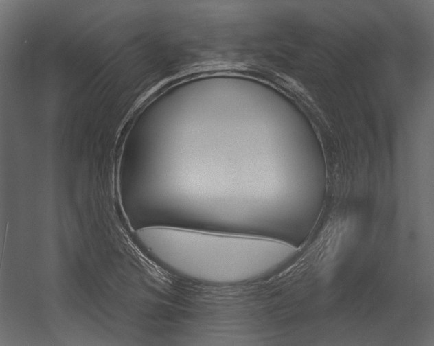 X0000054421220200507290917