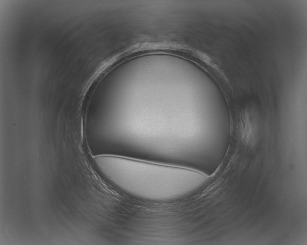 X0000054421221200507290917