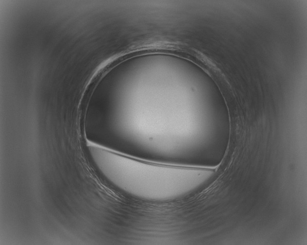 X0000054421222200507290917