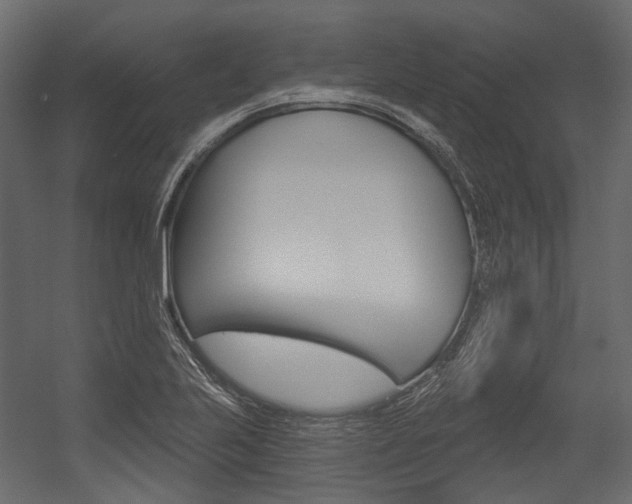 X0000054421223200507290917