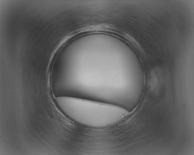 X0000054421224200507290917
