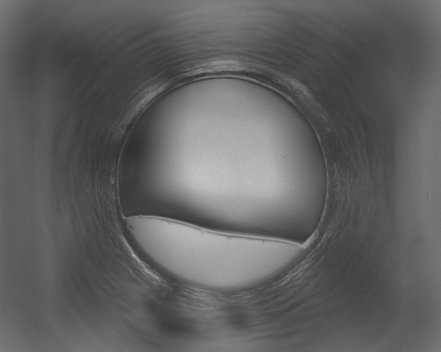 X0000054421225200507290917