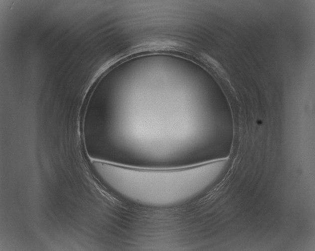 X0000054421226200507290917