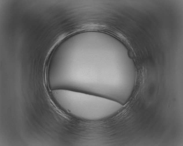 X0000054421227200507290917