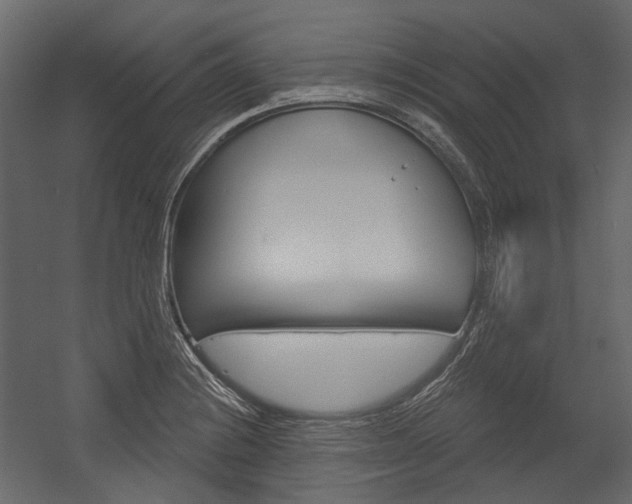X0000054421228200507290917