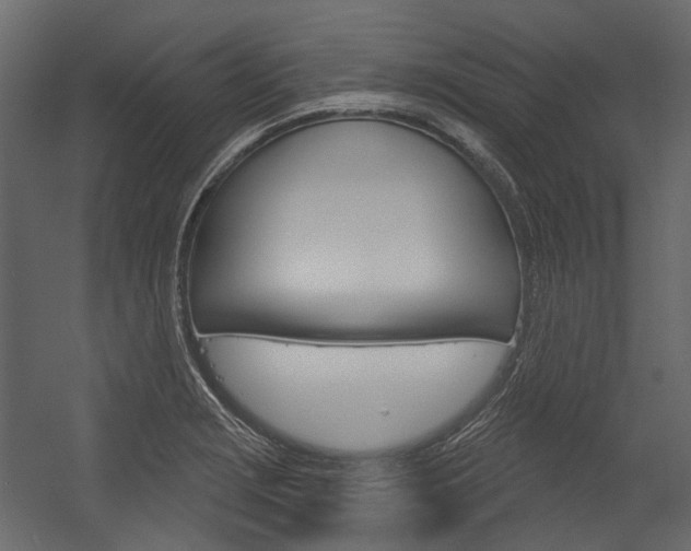 X0000054421229200507290917
