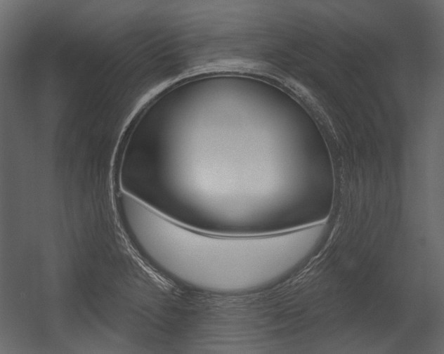 X0000054421230200507290917