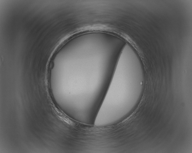 X0000054421232200507290917