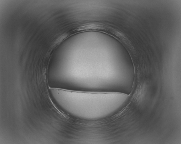 X0000054421233200507290917