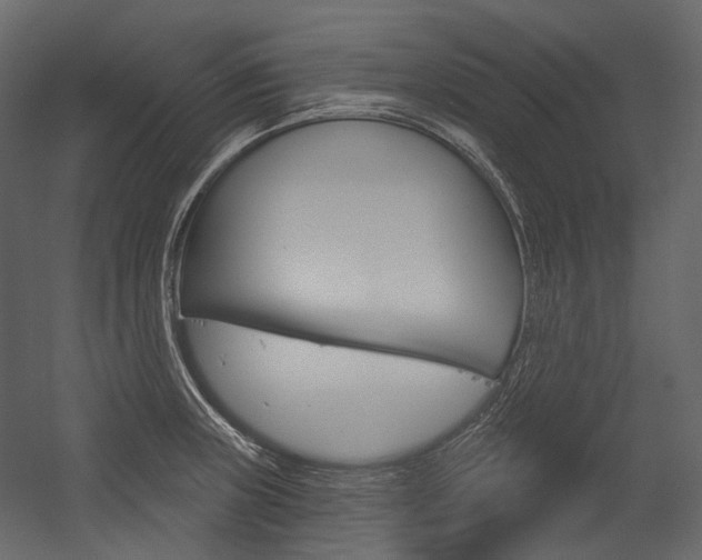 X0000054421235200507290917