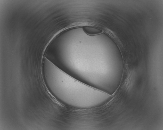 X0000054421236200507290917