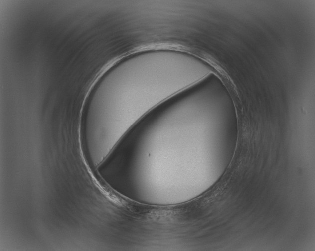 X0000054421237200507290917
