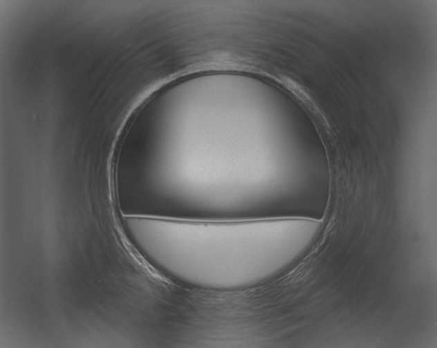 X0000054421238200507290917