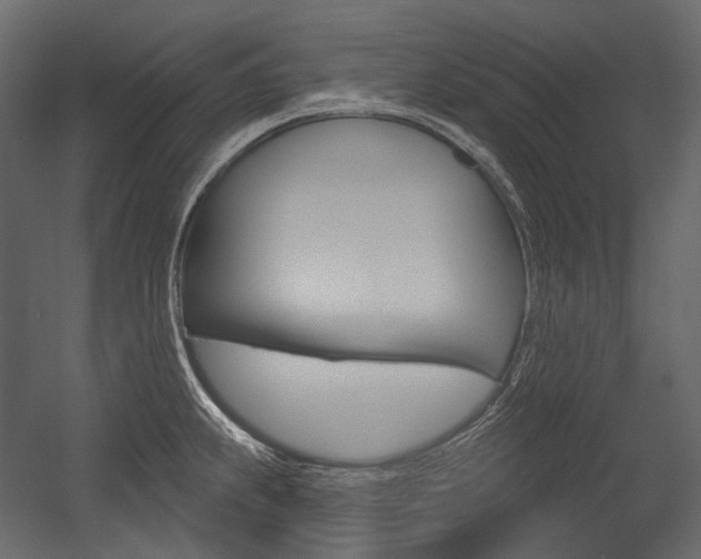 X0000054421239200507290917