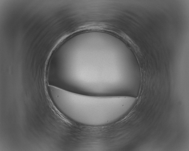 X0000054421240200507290917