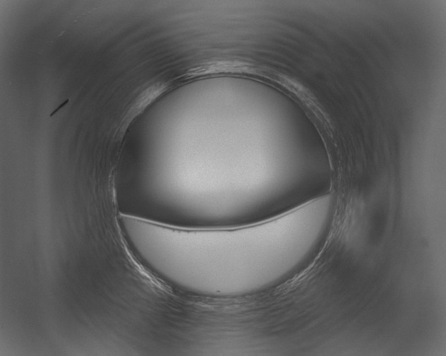 X0000054421241200507290917