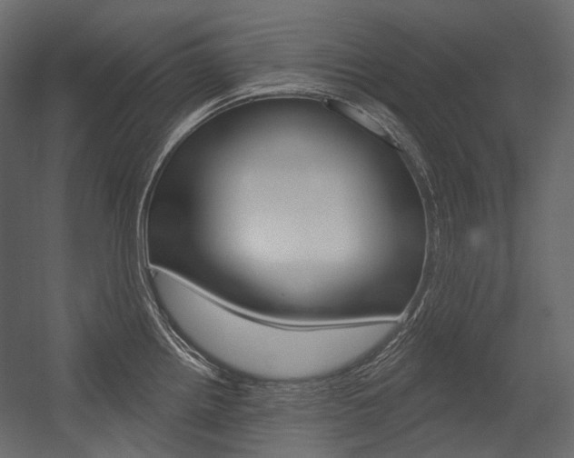 X0000054421242200507290917