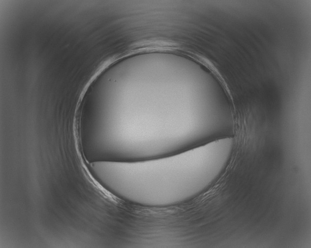 X0000054421243200507290917