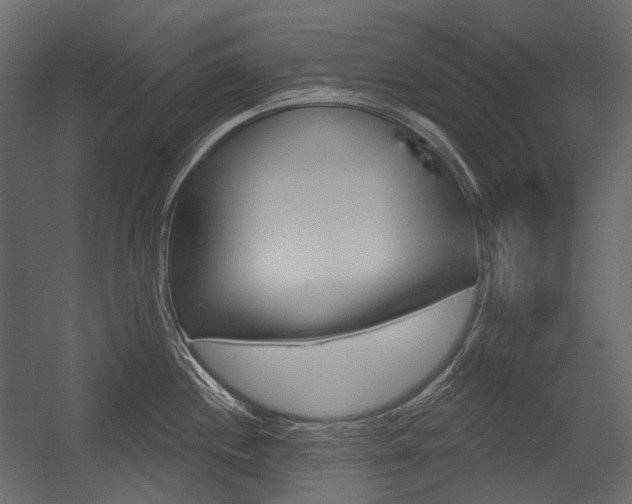 X0000054421244200507290917