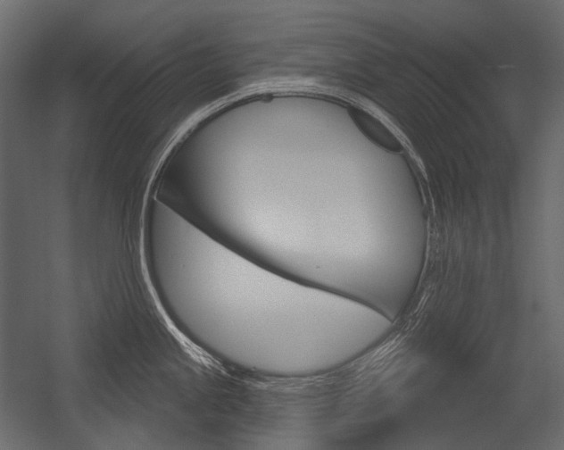 X0000054421245200507290918