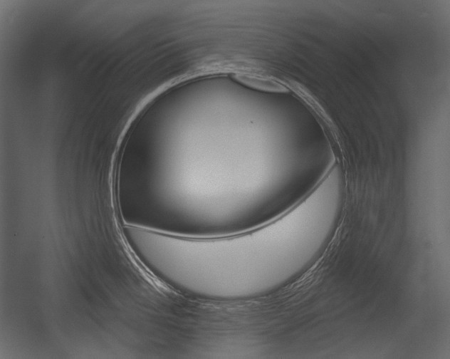 X0000054421246200507290918