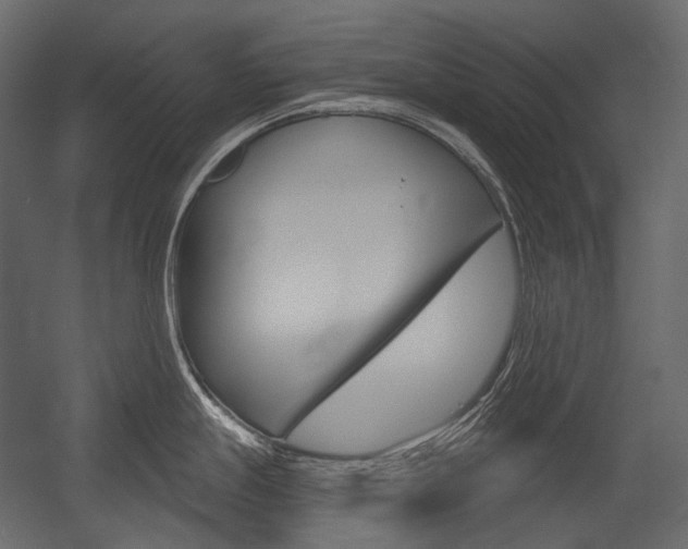 X0000054421247200507290918