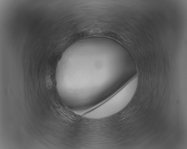 X0000054421250200507290917