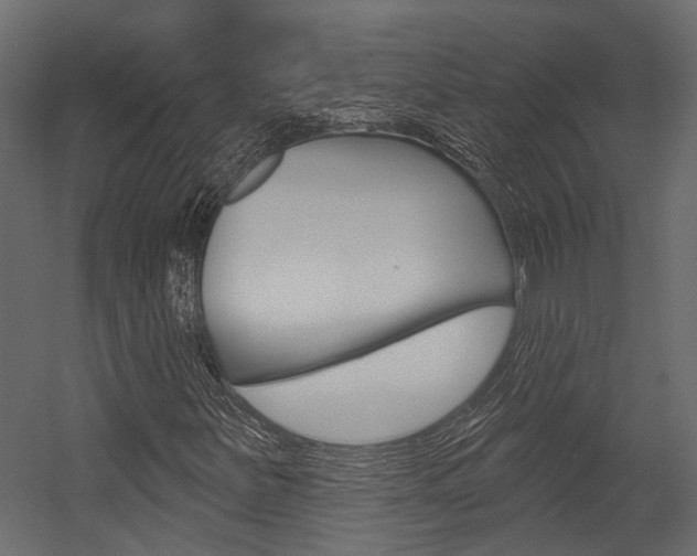 X0000054421251200507290917