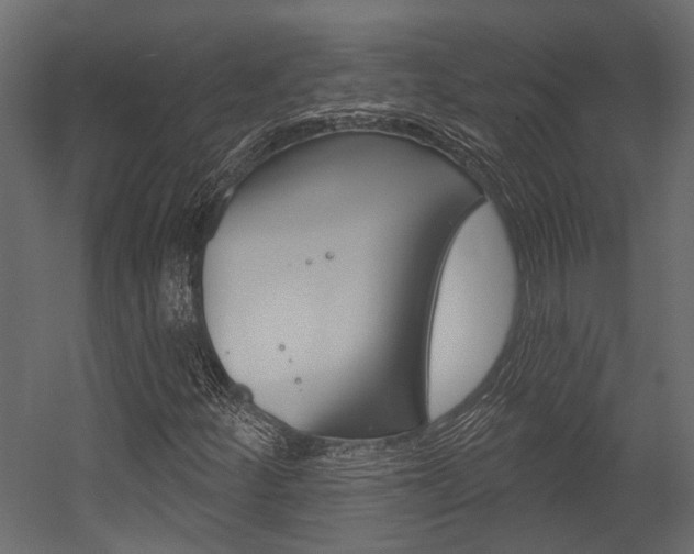 X0000054421252200507290917