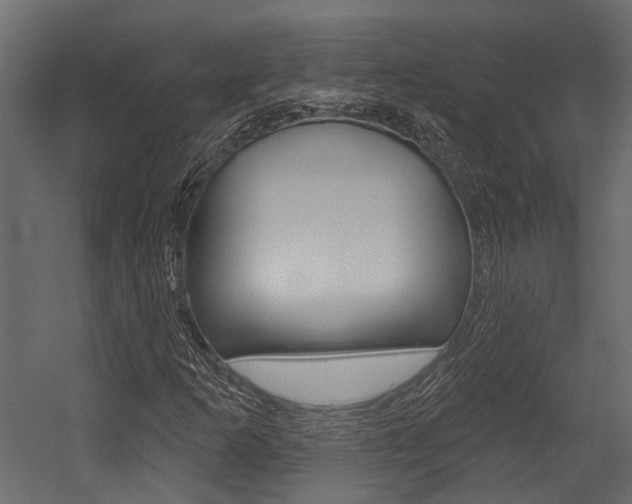 X0000054421253200507290917