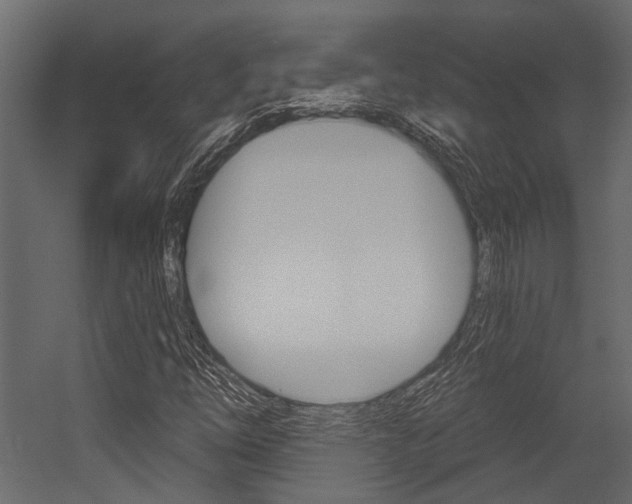 X0000054421254200507290917