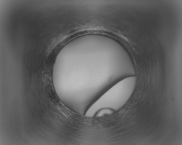 X0000054421255200507290917